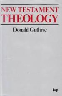 Image of New Testament Theology (Trawas)