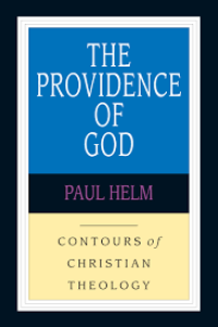 Image of The Providence Of God : contours of christian theology (Trawas)