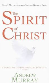 Image of The Spirit Of Christ (Trawas)