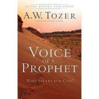 Image of Voice Of A Prophet ; who speaks for God? (Trawas)